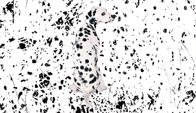 かくし絵の答え。黒ぶちの犬の画像