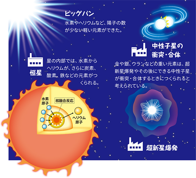 ビッグバン「水素やヘリウムなど、陽子の数が少ない軽い元素ができた。」恒星「星の内部では、水素からヘリウムが、さらに炭素、酸素、鉄などの元素がつくられる。」中性子星の衝突・合体、超新星爆発「金や銀、ウランなどの重い元素は、超新星爆発やその後にできる中性子星が衝突・合体するときにつくられると考えられている」