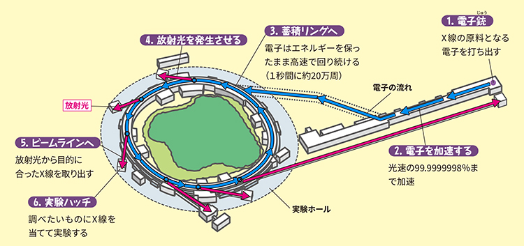 SPring-8のマップ画像