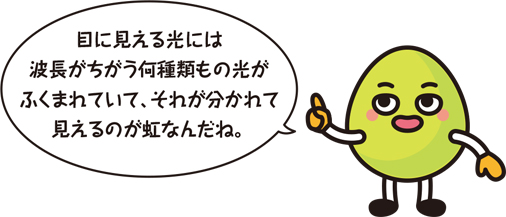 キャラクター「目に見える光には波長がちがう何種類もの光がふくまれていて、それが分かれて見えるのが虹なんだね」