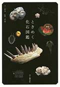 ときめく化石図鑑の画像