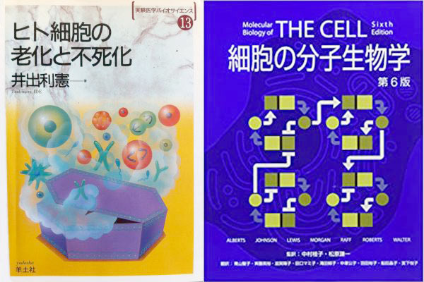『ヒト細胞の老化と不死化』と『THE CELL―細胞の分子生物学』の画像
