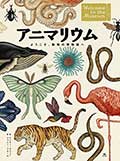 アニマリウム ─ようこそ、動物の博物館へ─の画像