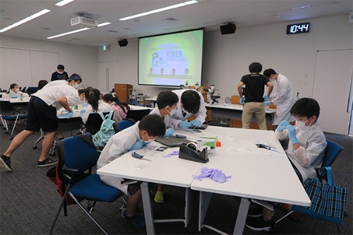 実習中の様子の写真