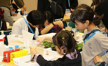 ハーバリウムを作る体験の様子の画像