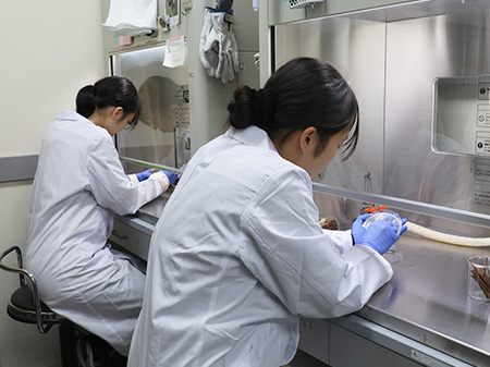 実習の様子：Bコース「酵母を使って分子標的薬を探そう」の写真