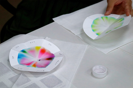 自分だけのお花が咲きました♪の写真