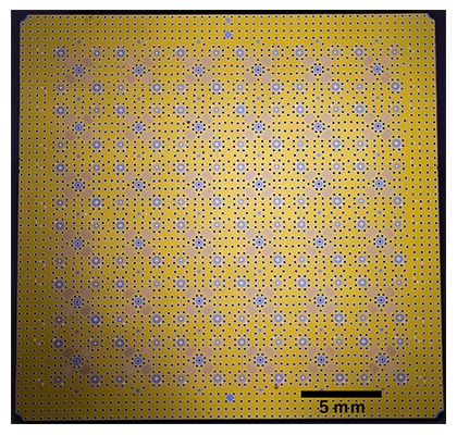 144量子ビットチップの写真