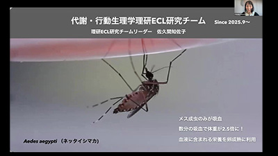 代謝・行動生理学理研ECL研究チーム のスライド