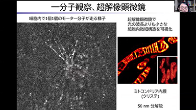細胞極性統御研究チームのスライド