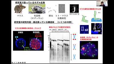 配偶子形成研究チー厶のスライド