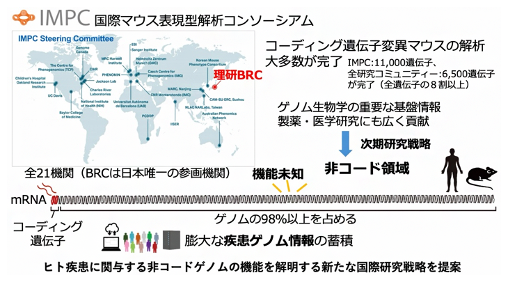 提言の概要図