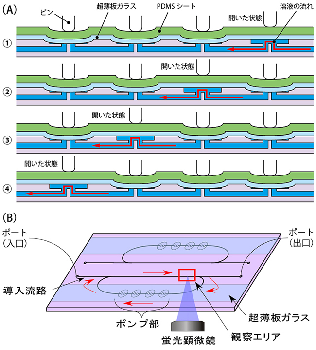 ガラス製マイクロ流路チップ内電動ポンプの原理およびデザインの図