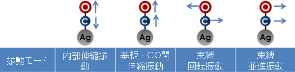 吸着CO分子の基本振動モードの図