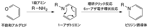 理研クリック反応(6π-アザ電子環状反応)の図