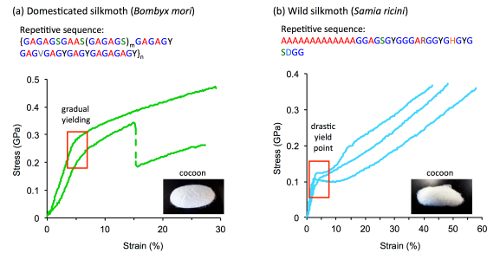 fibroin repetitive sequences correlate with silk tensile properties