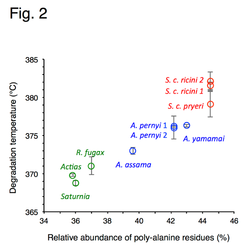 nano-crystal forming regions in silk lengthen with degradation temperature