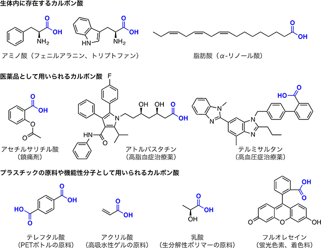 身の回りにあるカルボン酸の例の図