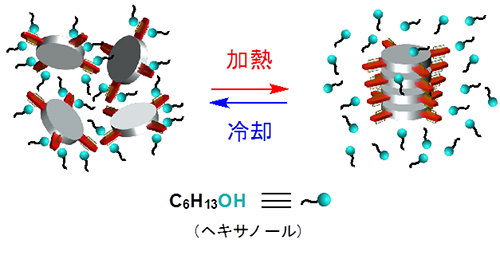 PORcuとヘキサノールを用いた加熱により進行する超分子重合の模式図の画像
