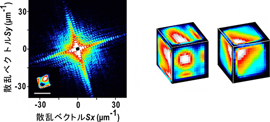 可視化された銅キューブ粒子の内部構造の図