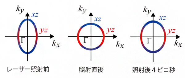 フェムト秒レーザー照射に伴う電子液晶の形状変化の図