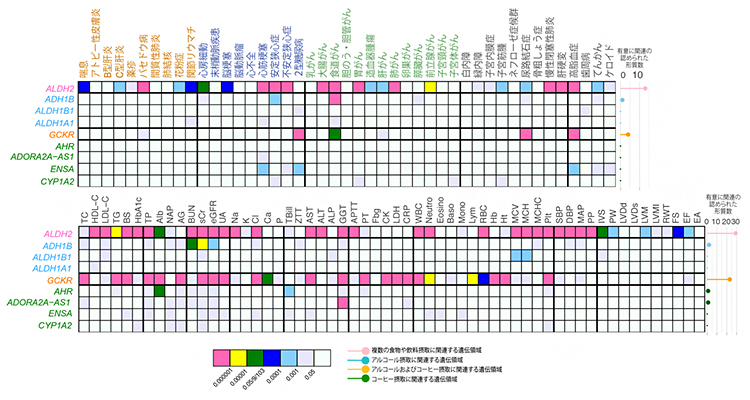 食習慣関連領域とさまざまな病気や検査値との関連の図