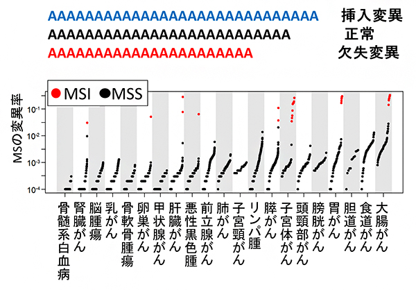 21のがん腫ごとの全ゲノムレベルでのマイクロサテライト（MS）の変異率の図
