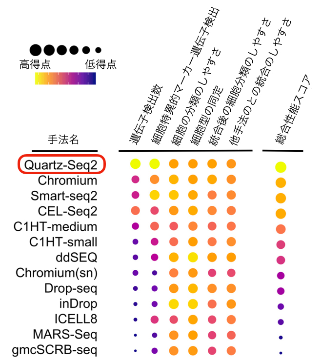 国際的なベンチマーク研究の概要の図