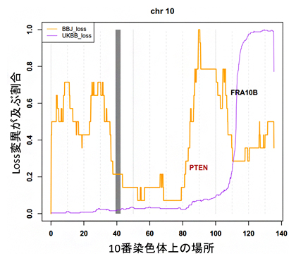 がん関連遺伝子における人種特異的lossの図