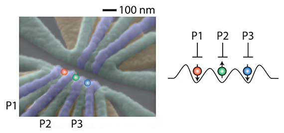 本研究で用いたシリコン量子ドット試料の電子顕微鏡写真の図