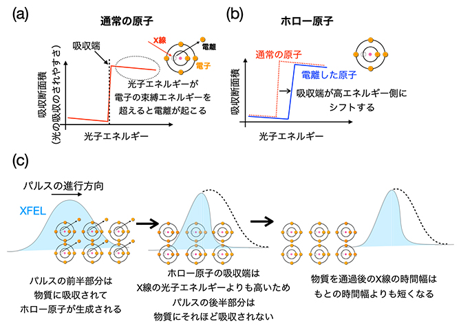 ホロー原子を利用したX線自由電子レーザー（XFEL）の短パルス化の図
