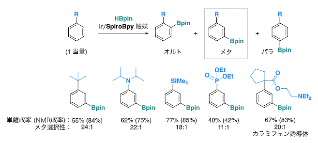 ルーフ配位子を持つイリジウム触媒を用いた芳香族化合物のメタ位選択的ホウ素化反応の図