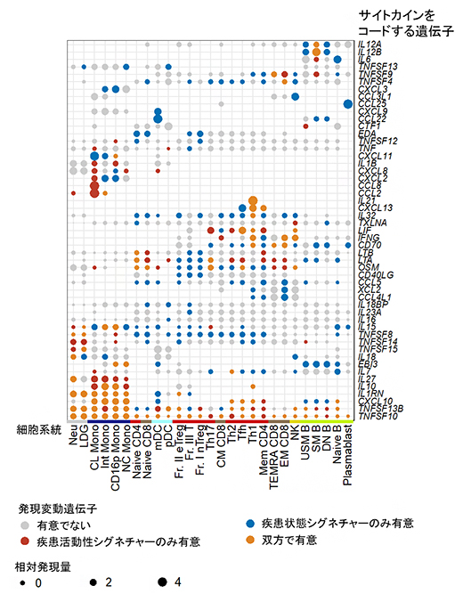サイトカイン関連遺伝子における疾患状態シグネチャーと疾患活動性シグネチャーの違いの図