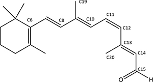 レチナールの図