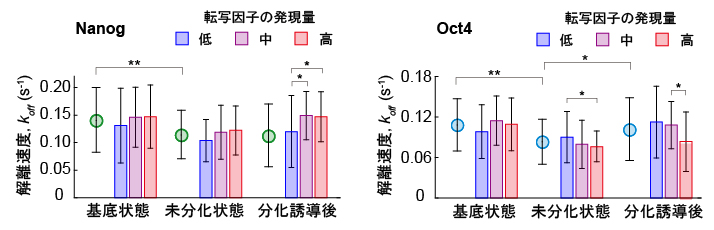 NanogおよびOct4の標的遺伝子座との相互作用時間および発現量の関係の図