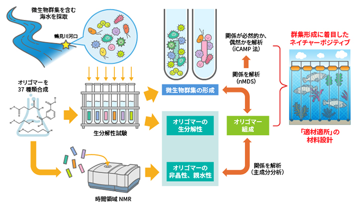 合成オリゴマーの組成と生分解性・非晶性・親水性、微生物群集の「村」などを可視化の図