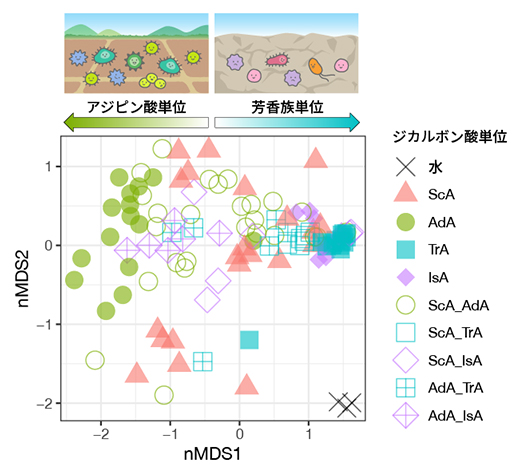 オリゴマー組成と微生物群集のメンバー構成との関係の図