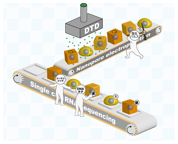 細胞の硬さ・柔らかさと遺伝子発現が同時に分かる測定手法「ELASTomics」の図