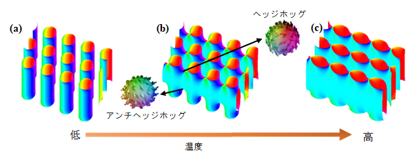 温度の上昇に伴うスキルミオンひもの融解過程の図