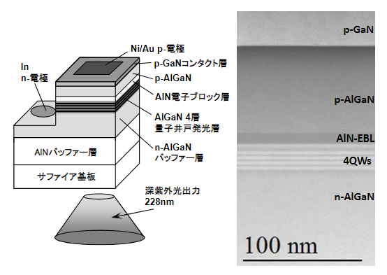 波長230nm far-UVC LEDの構造模式図および断面透過電子顕微鏡写真の図