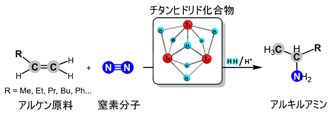 チタンヒドリド化合物によるアルケン原料と窒素分子からのアルキルアミンの合成の図