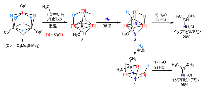 チタンヒドリド化合物1による窒素分子およびプロピレンの活性化と変換反応の図