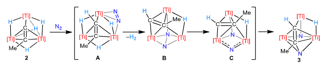 化合物2とN2との反応の詳しい反応経路の図