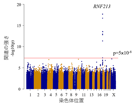 冠攣縮性狭心症GWASのマンハッタンプロットの図