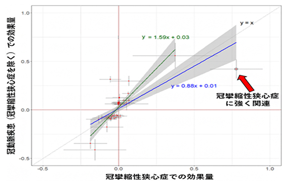 冠攣縮性狭心症とそれ以外の冠動脈疾患の疾患GWASでの効果量（影響の強さ）の比較の図