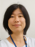 曳野 圭子 研究員の写真
