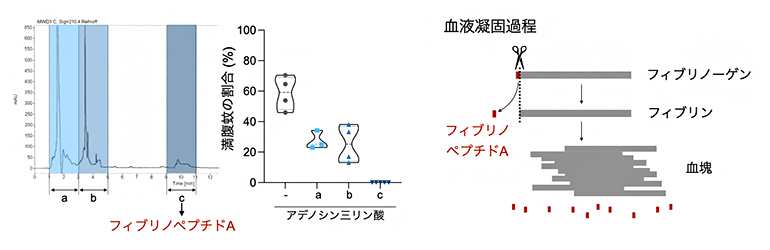 血清に含まれる吸血停止シグナルの同定の図