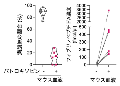 バトロキソビンにより血中フィブリノペプチドA量を増加させた際の吸血の比較の図