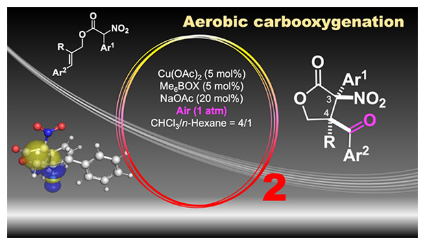 空気中の酸素を用いるγ-ラクトンの合成の図