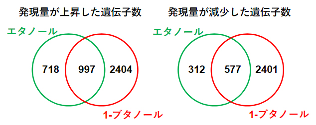 発現量が変動した遺伝子のベン図による比較の図